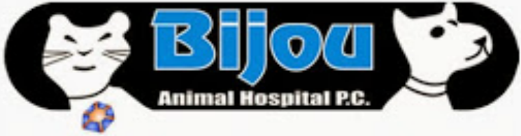 Bijou Animal Hospital - pumpkin